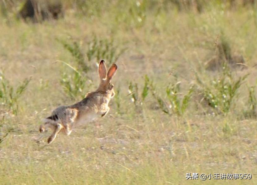 2025年梦见死人上山全解：财富密码与事业转机