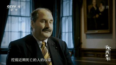 倍耐力P7000轮胎深度解析，性能特点全面解读，车主选购指南