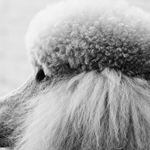 兼职收入个人所得税_兼职代扣代缴税_兼职律师取得收入如何申报个税