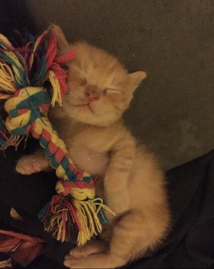 最新济南风水大师排名：济南前十位经验丰富的风水大师