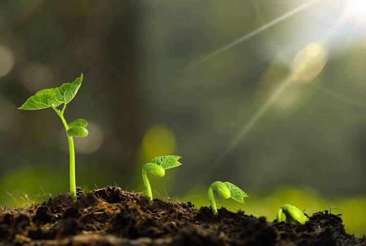 为什么你总在感情里栽跟跟头?星座早就给出答案了! 为什么你总在感情里栽跟跟头?星座早就给出答案了!