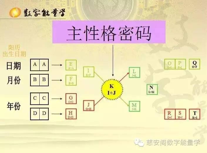 生命密码夫妻家庭密码怎么学?解读与应用指南 生命密码夫妻家庭密码怎么学?解读与应用指南