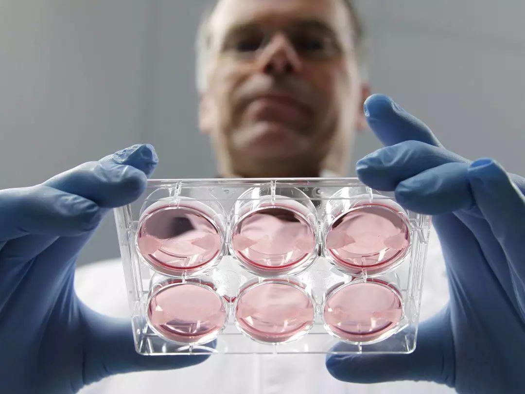 梦见十几年前暗恋的人预示什么?2025年三大情感转折解析 梦见十几年前暗恋的人预示什么?2025年三大情感转折解析