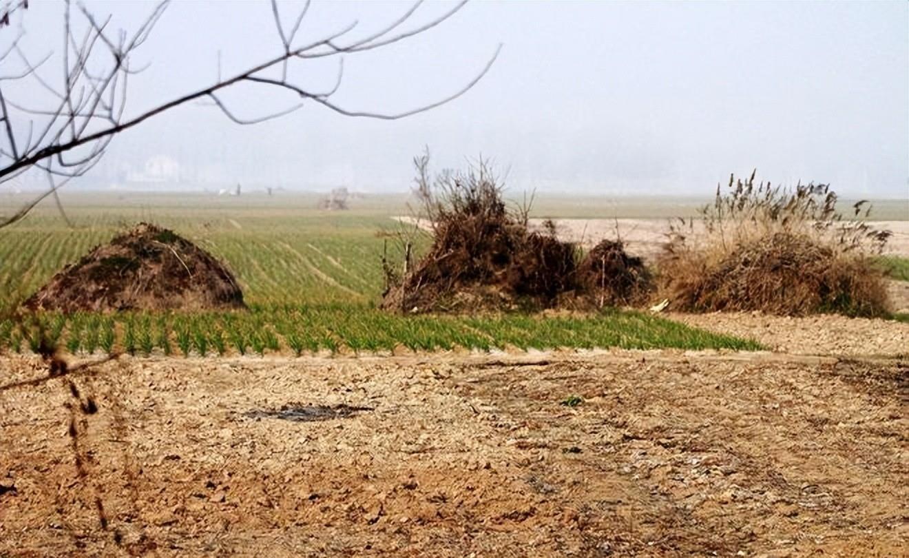 梦见坟高预示什么？2025年财运爆发三大星座解析