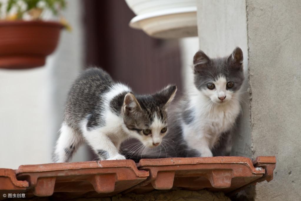 2025梦见死人的12种心理预兆解析：运势转折与周公解梦指南