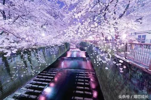 第一次进爱人岛华人论坛，怎么才能不迷路？