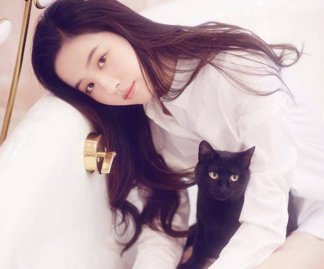 哪里能找到让人瞬间融化的猫咪神仙图？