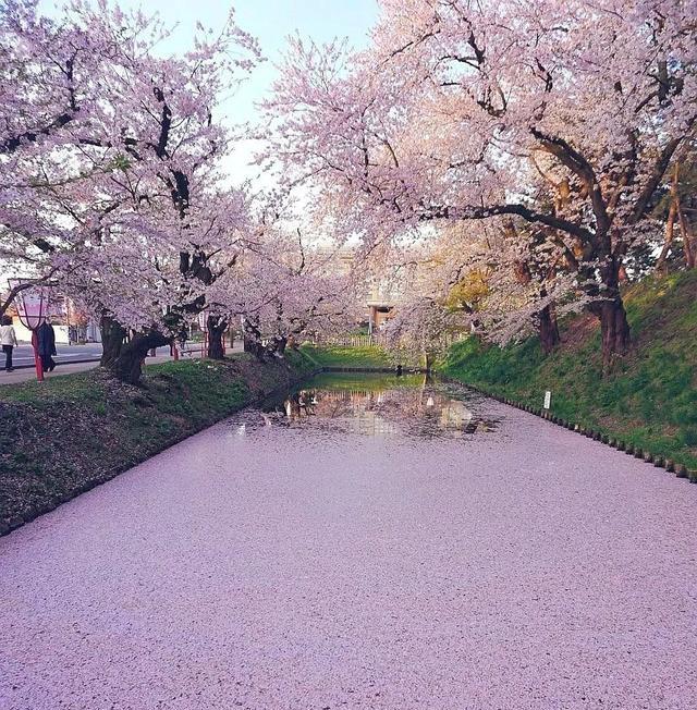 在北海道不会日语怎么找到靠谱华人组织？