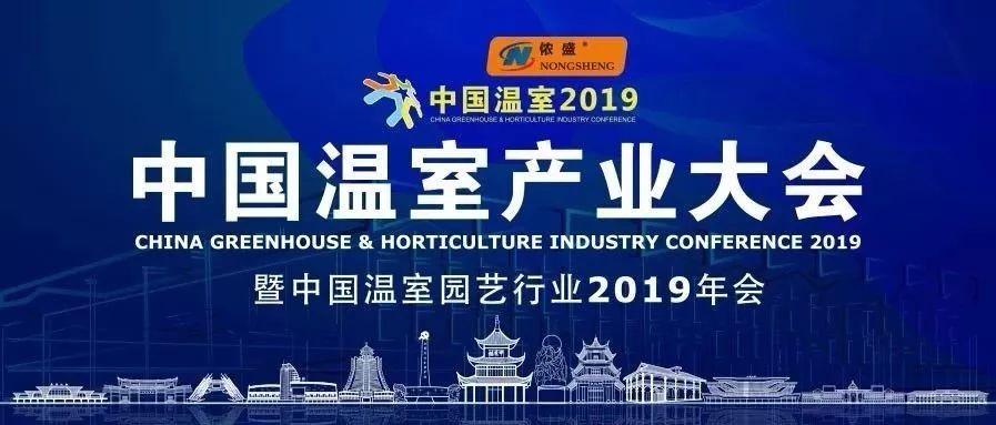 在荷兰生活一定要加华人论坛吗？