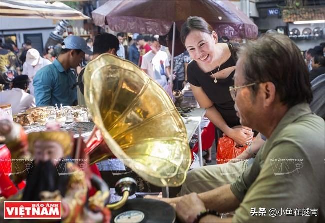 猫咪突然吐黄水还软便？可能是要命的猫瘟预警！