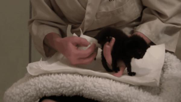 艾曦媤到底怎么玩才能不踩坑? 艾曦媤到底怎么玩才能不踩坑?