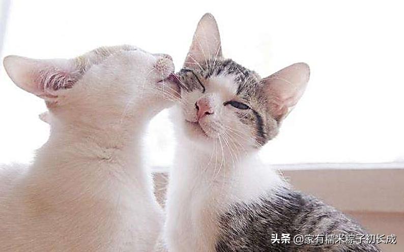 如何在淘宝网里秒杀→秒杀商品，具体的操作流程步骤，举个例子