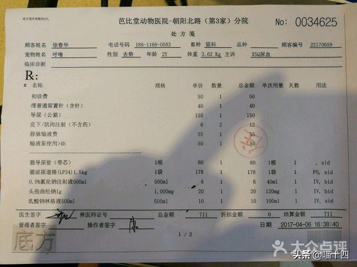 猫咪导尿后为啥还是尿不出？这6个细节你注意了吗？