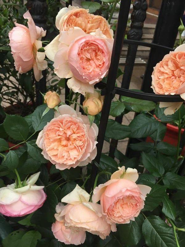 新手买二手车怎么避开雷区？爱卡二手车的5个暗号你听懂了吗？