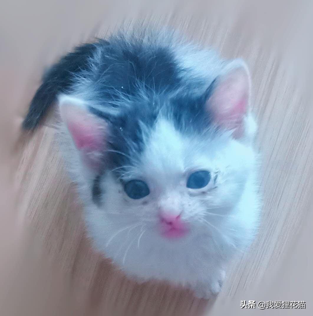 伊基塔这角色到底怎么用才能不坑队友? 伊基塔这角色到底怎么用才能不坑队友?