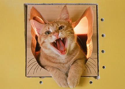 Baccarat Extrait: Parfum Mewah dengan Aroma Istimewa dan Karakteristik Unik