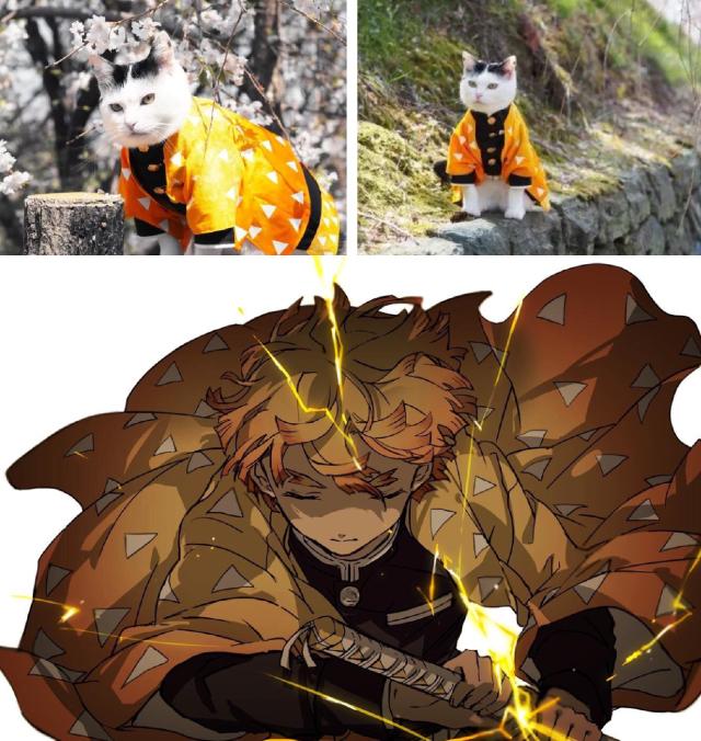 佛滔算命网今日运势到底靠谱吗?新手必看全攻略 佛滔算命网今日运势到底靠谱吗?新手必看全攻略