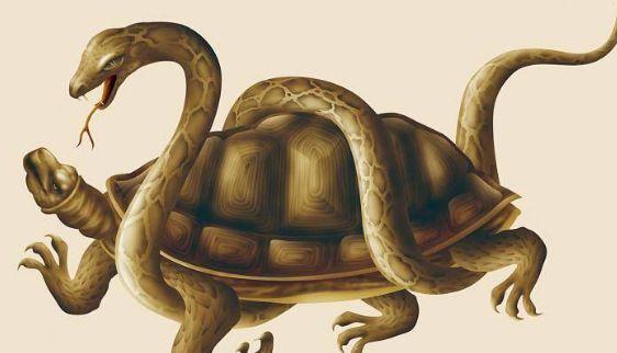 新爱丽舍论坛深度解析：车主为什么偏爱这个平台，它有哪些独特优势？