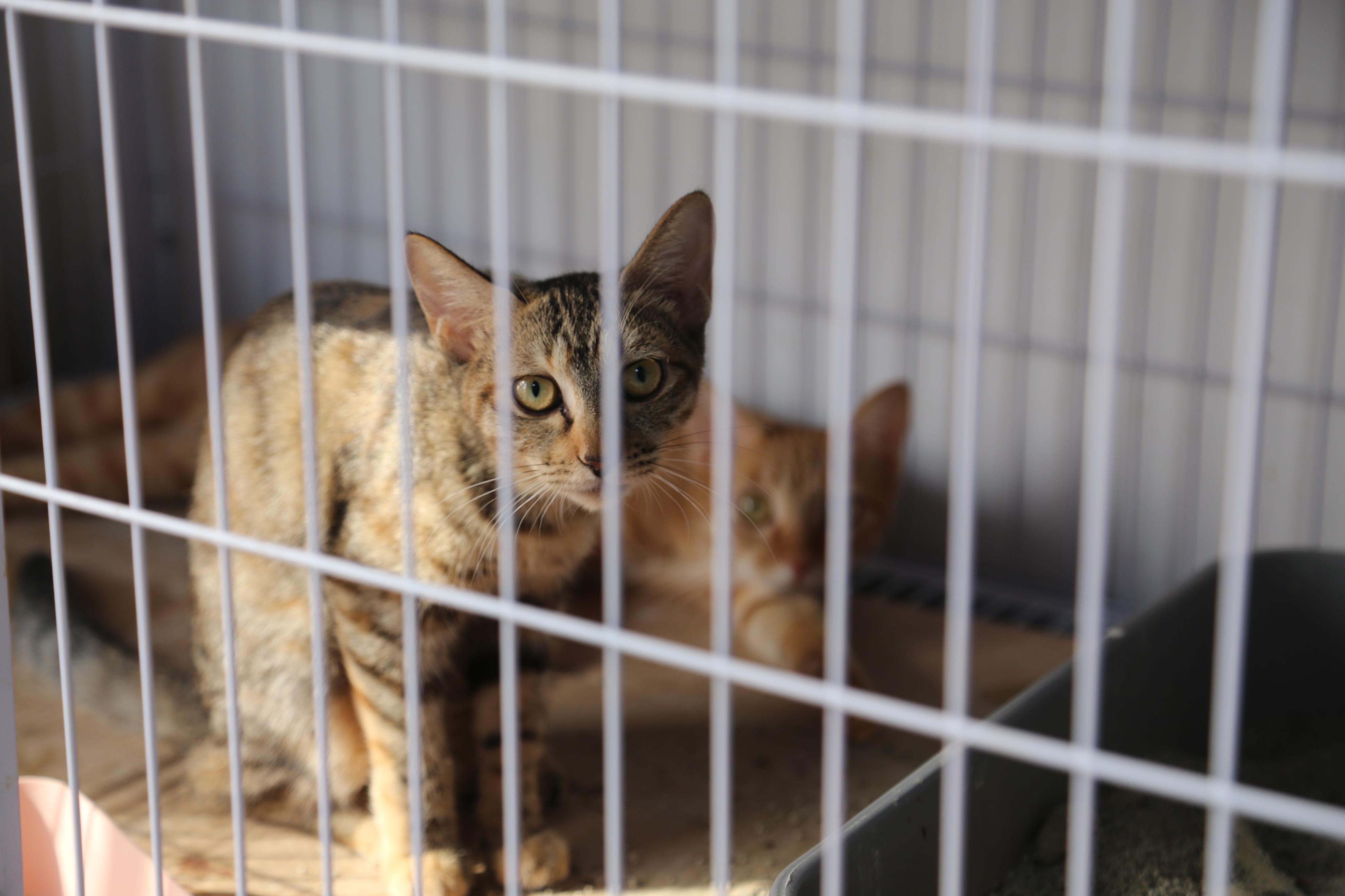 开车时腰酸背痛还能用视频软件记录声音? 开车时腰酸背痛还能用视频软件记录声音?