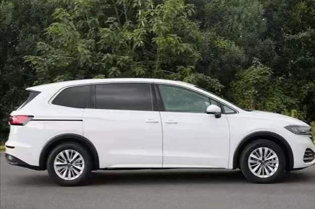 新手如何安全进入猫咪maomi永久网址？