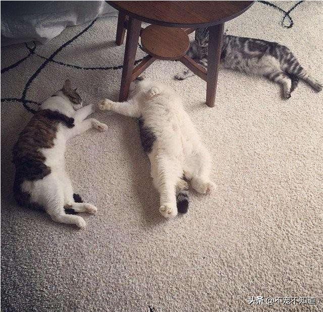 奔腾B70最新价格解析，哪款配置最值得入手，购车必看指南