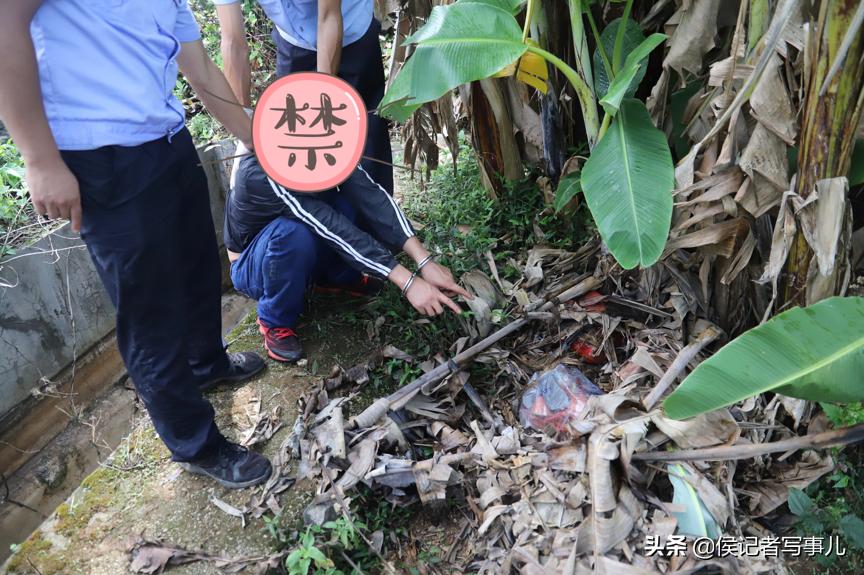 贩毒究竟会判多少年? 贩毒究竟会判多少年?