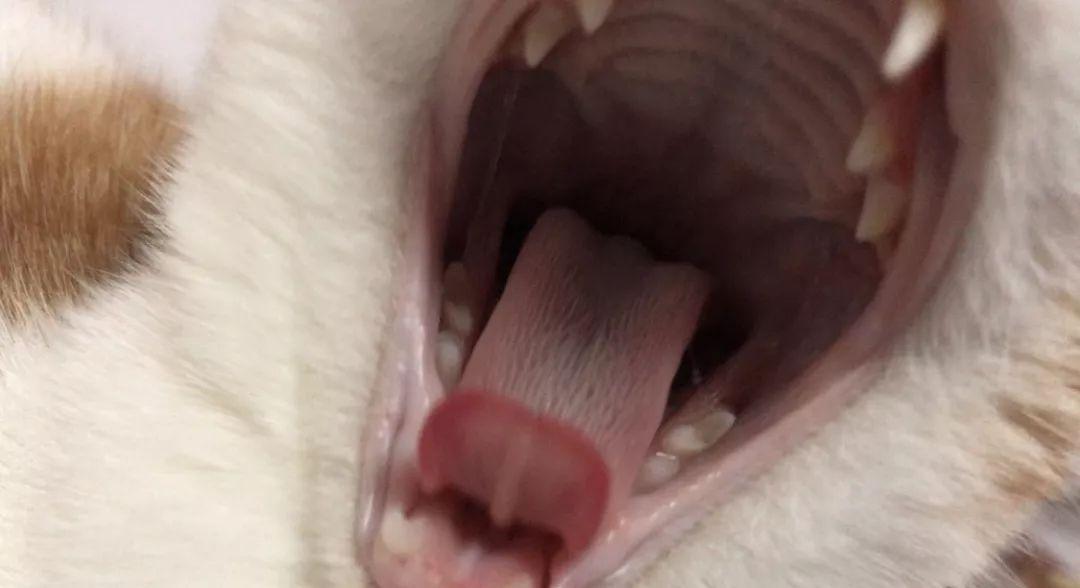 宜昌2手车怎么选？避坑指南帮你省1.5万购车款