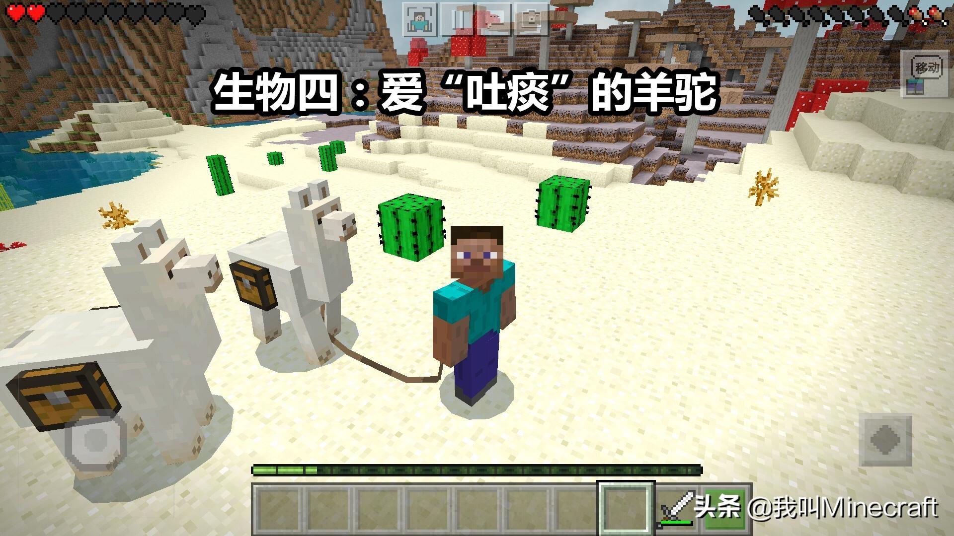 第一次进华人论坛如何避免社死现场？