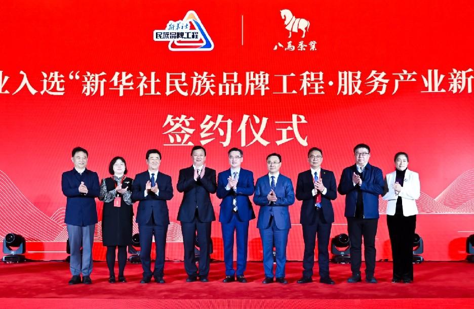 刷猫视频总踩坑？新手如何快速找到高清治愈猫片？