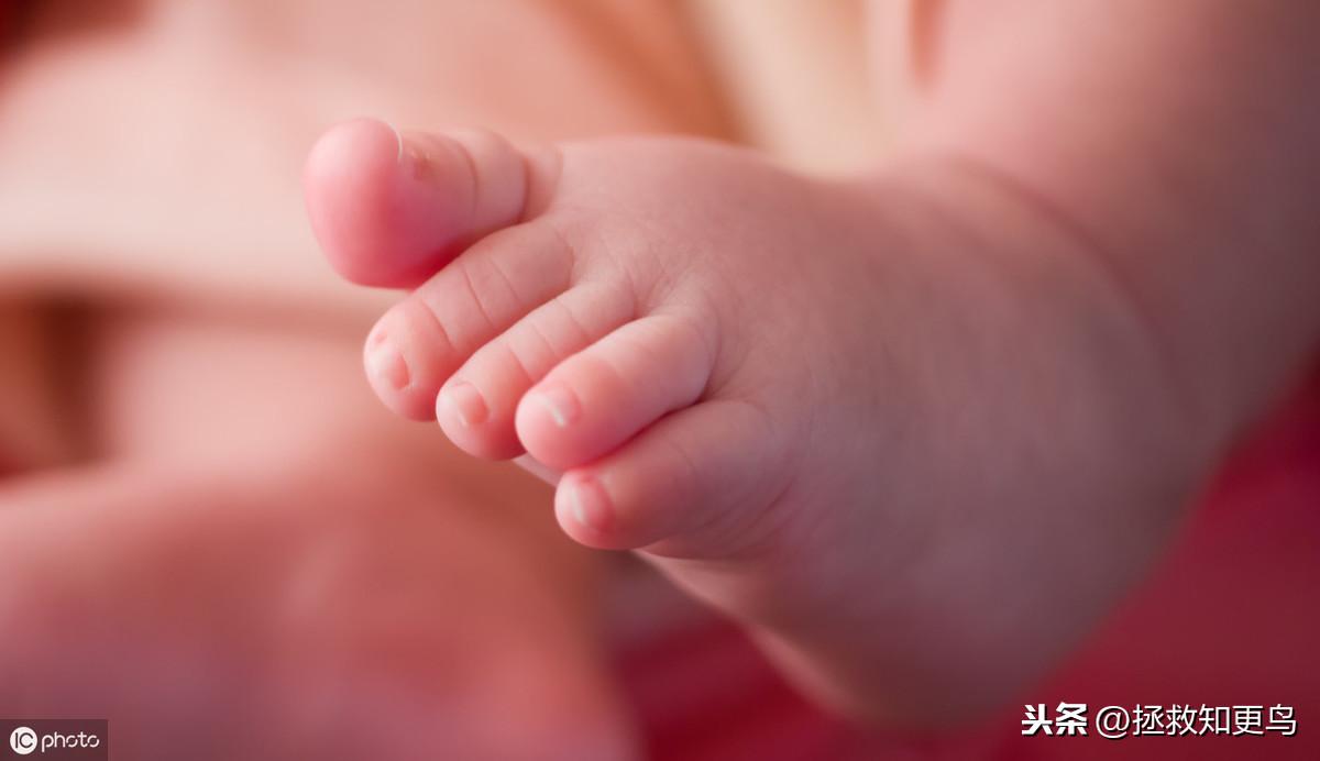 谢联到底怎么玩?新手入坑必备指南! 谢联到底怎么玩?新手入坑必备指南!