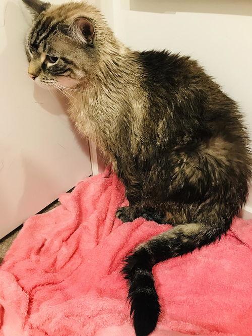 女命称骨算命真能看透一辈子吗？