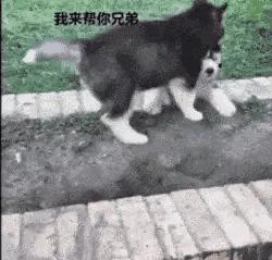 在加拿大桑德贝怎么找到靠谱的华人圈子？