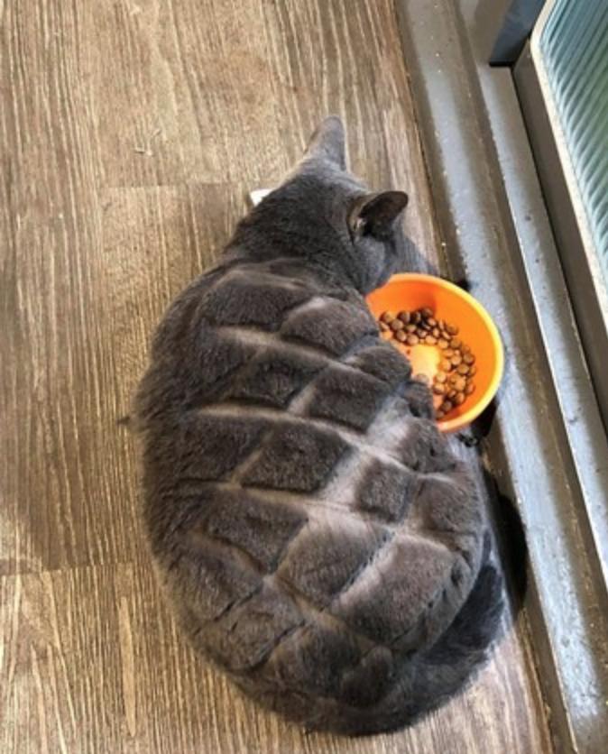 派朗真的难开吗？三步教你搞定手动挡