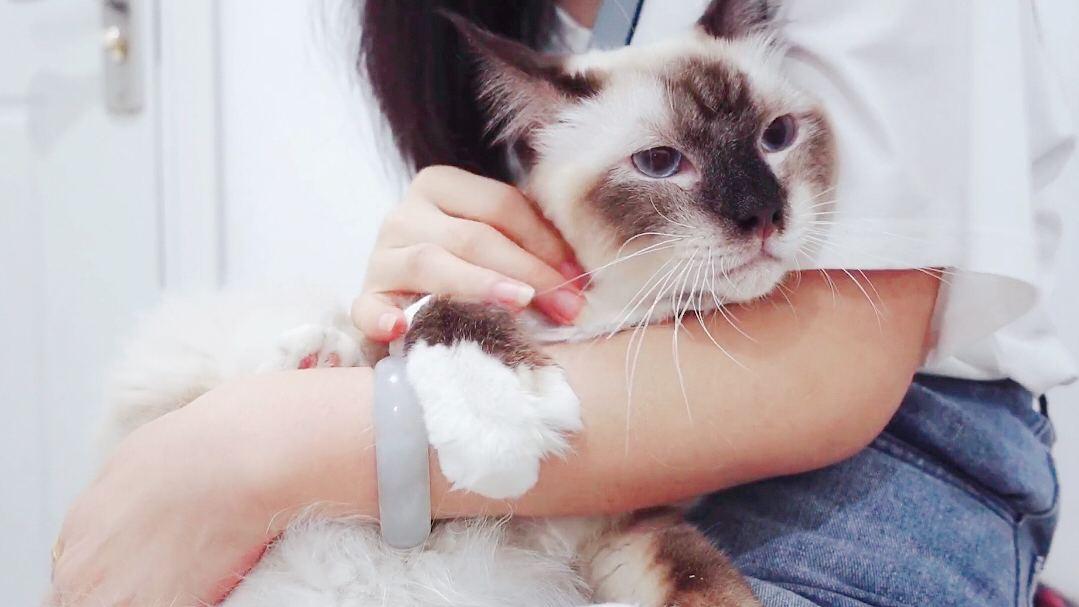 北美华人论坛密码到底该怎么搞？手滑党必看生存指南！