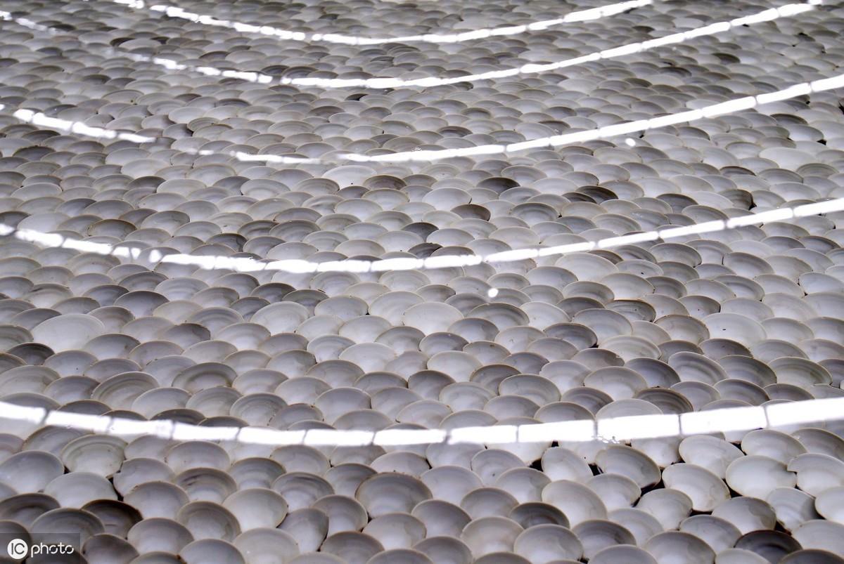 猫吃蛋黄会不会当场暴毙？