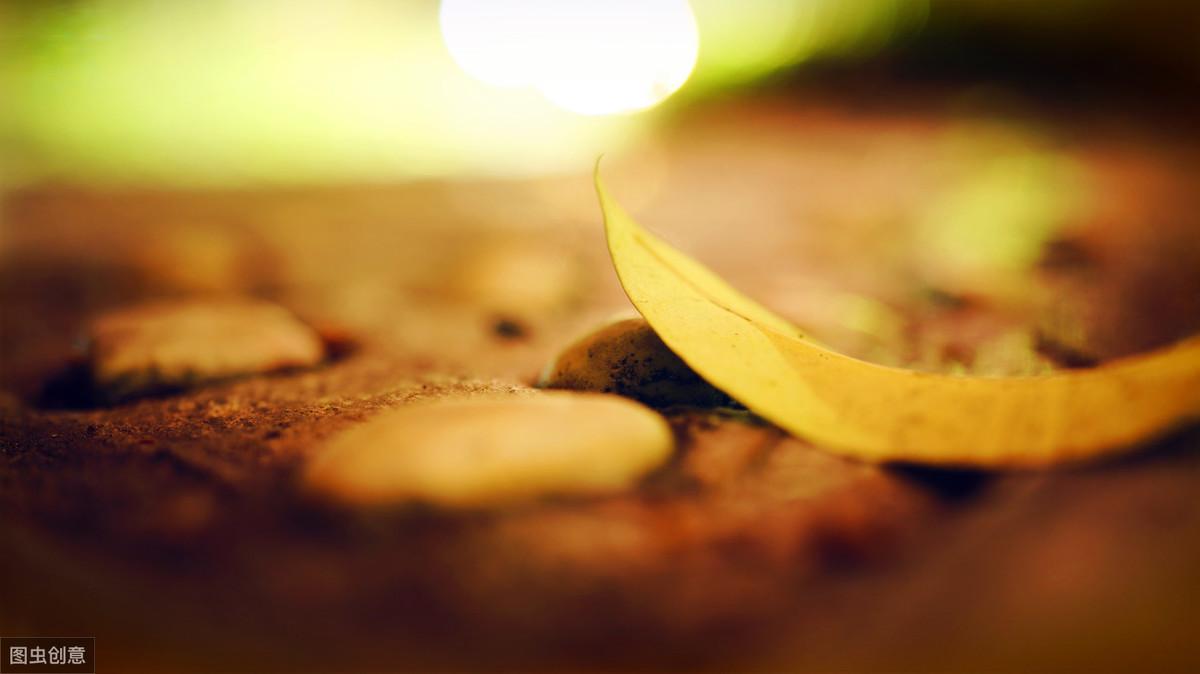 Cara Bermain Lucky Time Slots Mesin Slot Online 777 dan Menang Hadiah Besar