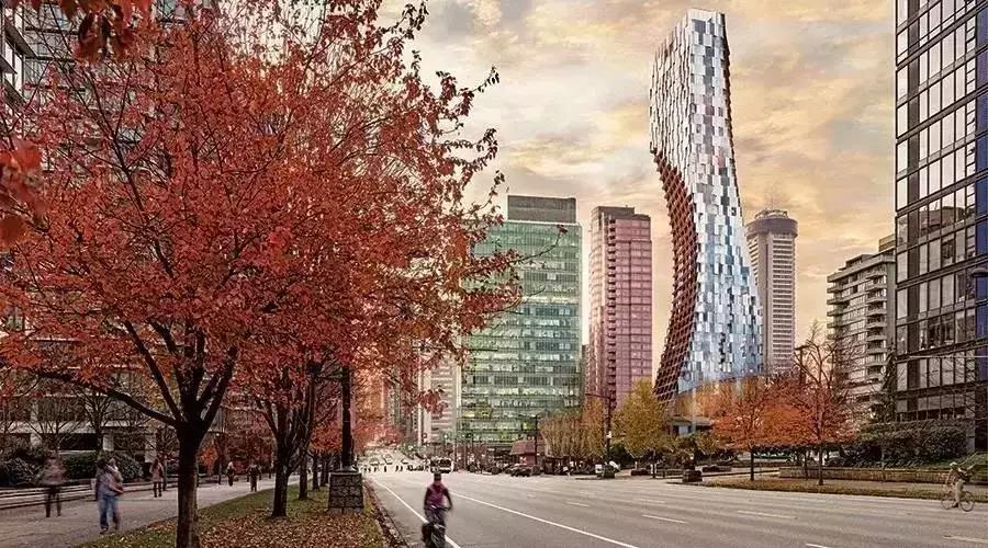 北美华人找不到组织？YY 的港湾论坛到底怎么玩？