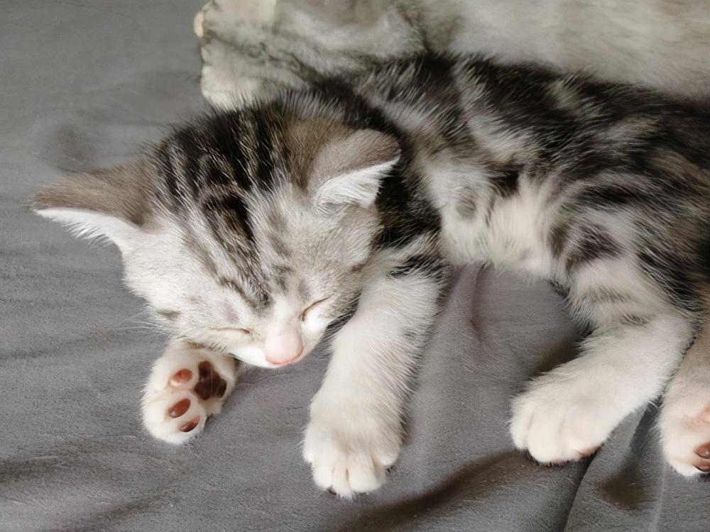 整理了18个优质在线电影网站，在家看剧，千万别出门了