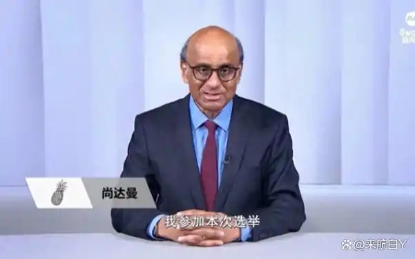 新加坡印度裔总统_印度裔国际影响力_印度华裔现状分析