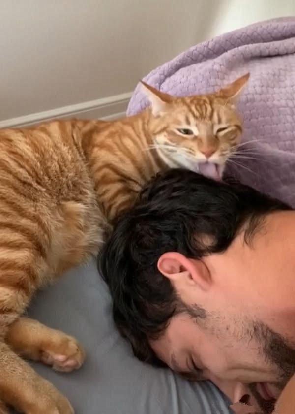 你家猫主子真的需要定期换猫粮吗？