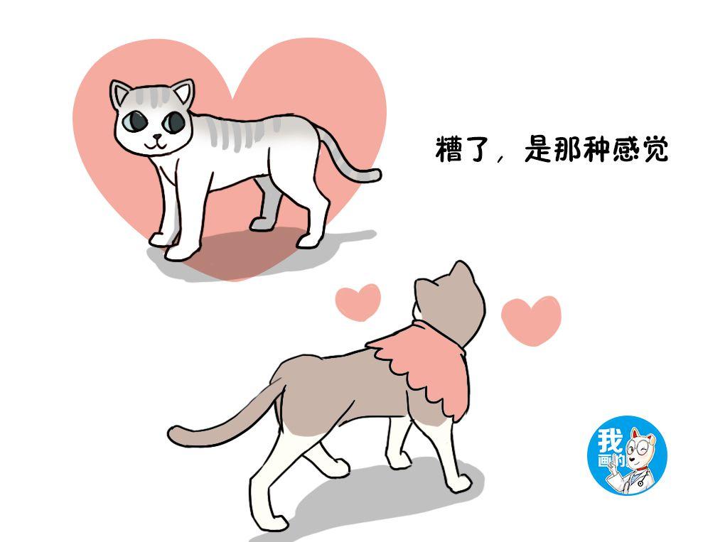 猫咪伊在线真的能免费领养猫咪吗? 猫咪伊在线真的能免费领养猫咪吗?