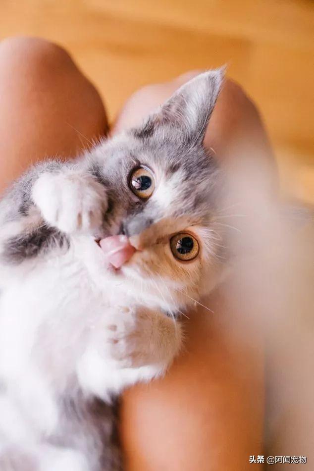 现代瑞纳最新报价解析，哪款配置最值得入手，性价比对比一览