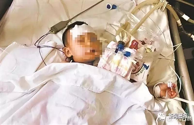 蚊香真的会让猫主子中毒吗? 蚊香真的会让猫主子中毒吗?