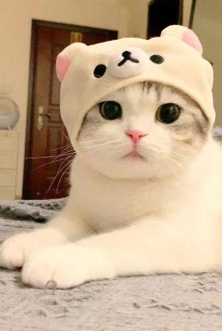 如何领淘宝优惠券