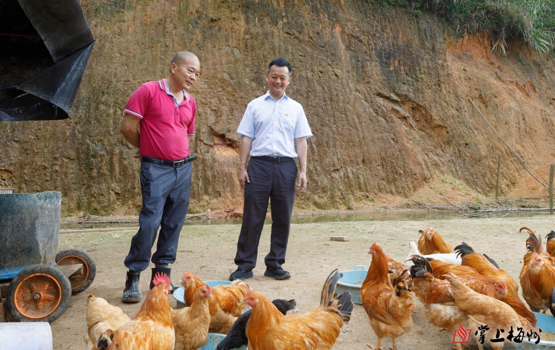 2024年属羊人真的会遭遇 命中克星 吗? 2024年属羊人真的会遭遇 命中克星 吗?