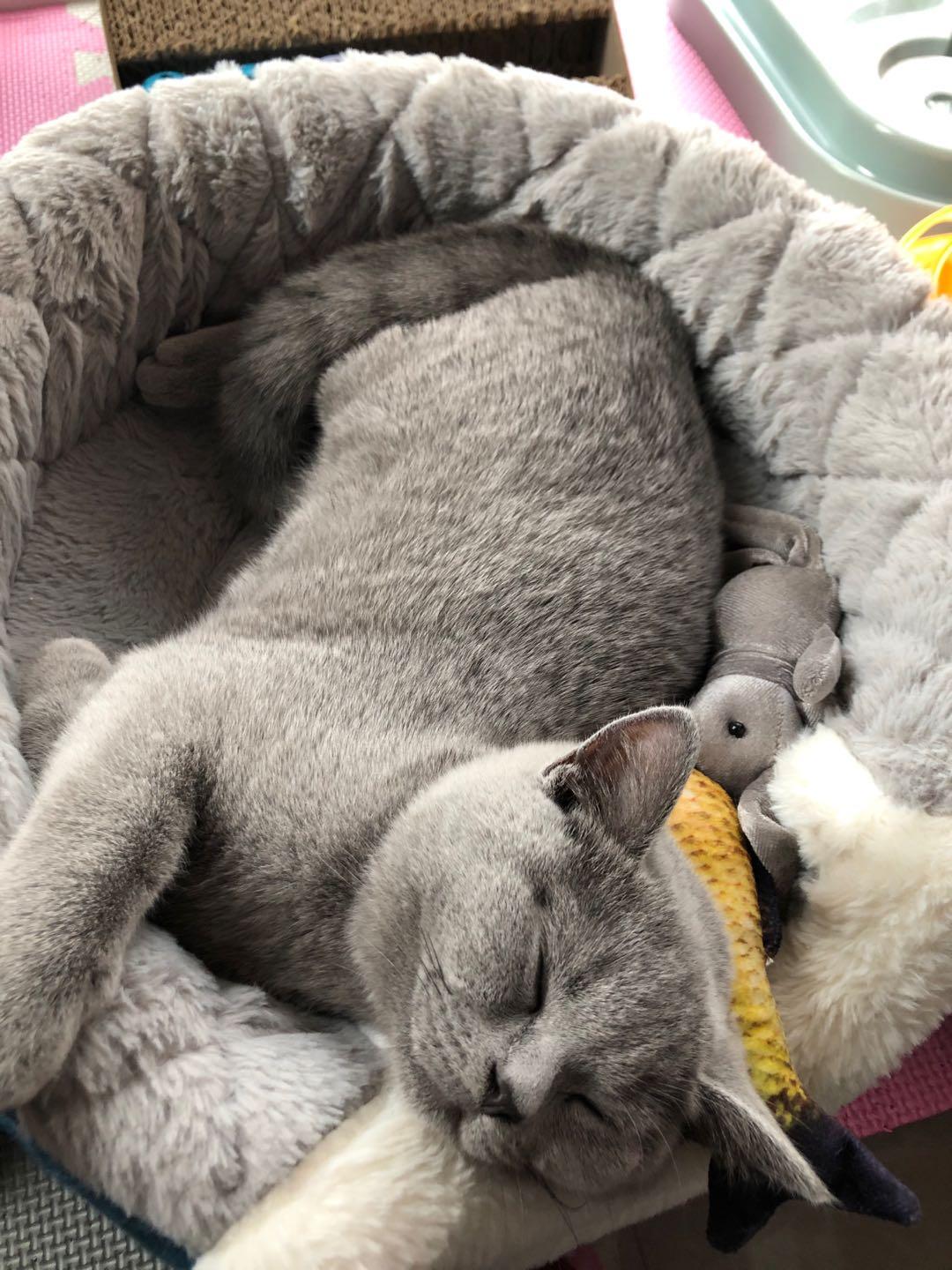 你的名字值多少分?卜易居姓名测试靠谱吗? 你的名字值多少分?卜易居姓名测试靠谱吗?