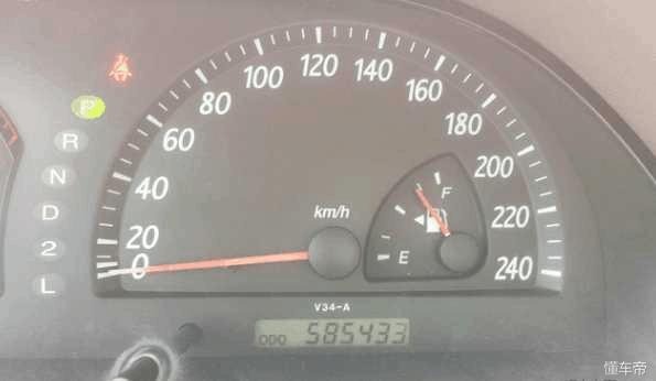 猫咪突然不吃不喝？可能是猫瘟在作怪！