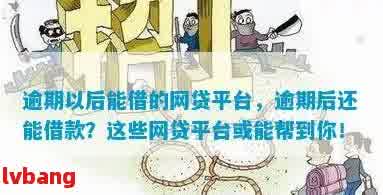 急需用钱，有逾期也能秒下款的平台有哪些？这份实用指南，值得一看！