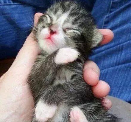 梦见撞死人真的会带来厄运吗? 梦见撞死人真的会带来厄运吗?