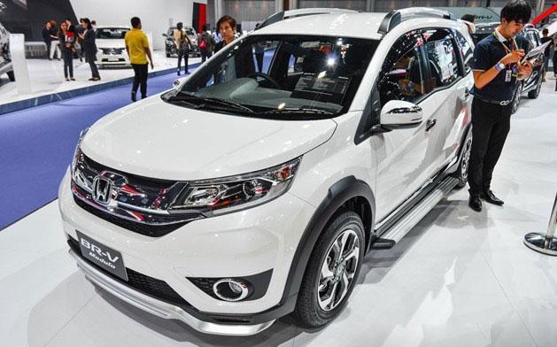 猫咪摇尾巴尖是在向你发摩斯密码吗？